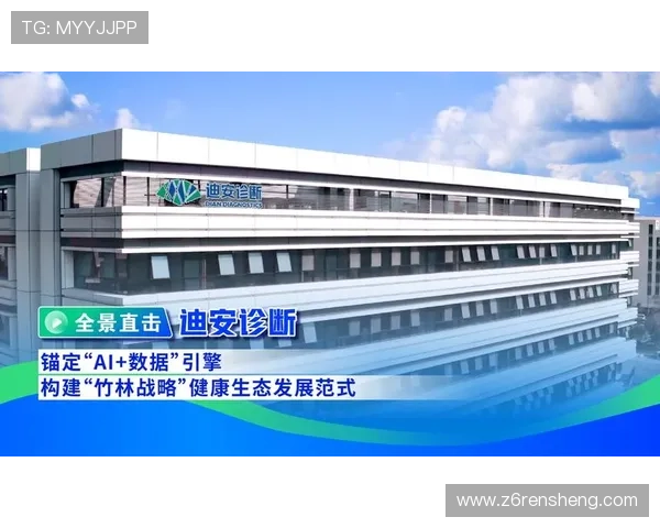 中国尊龙集团的主要产品线与服务范围详尽介绍与用户需求满足